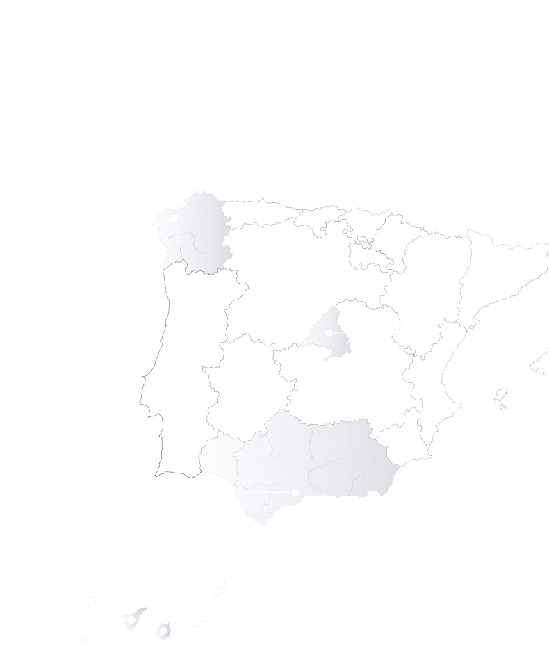 mapa organizaciones