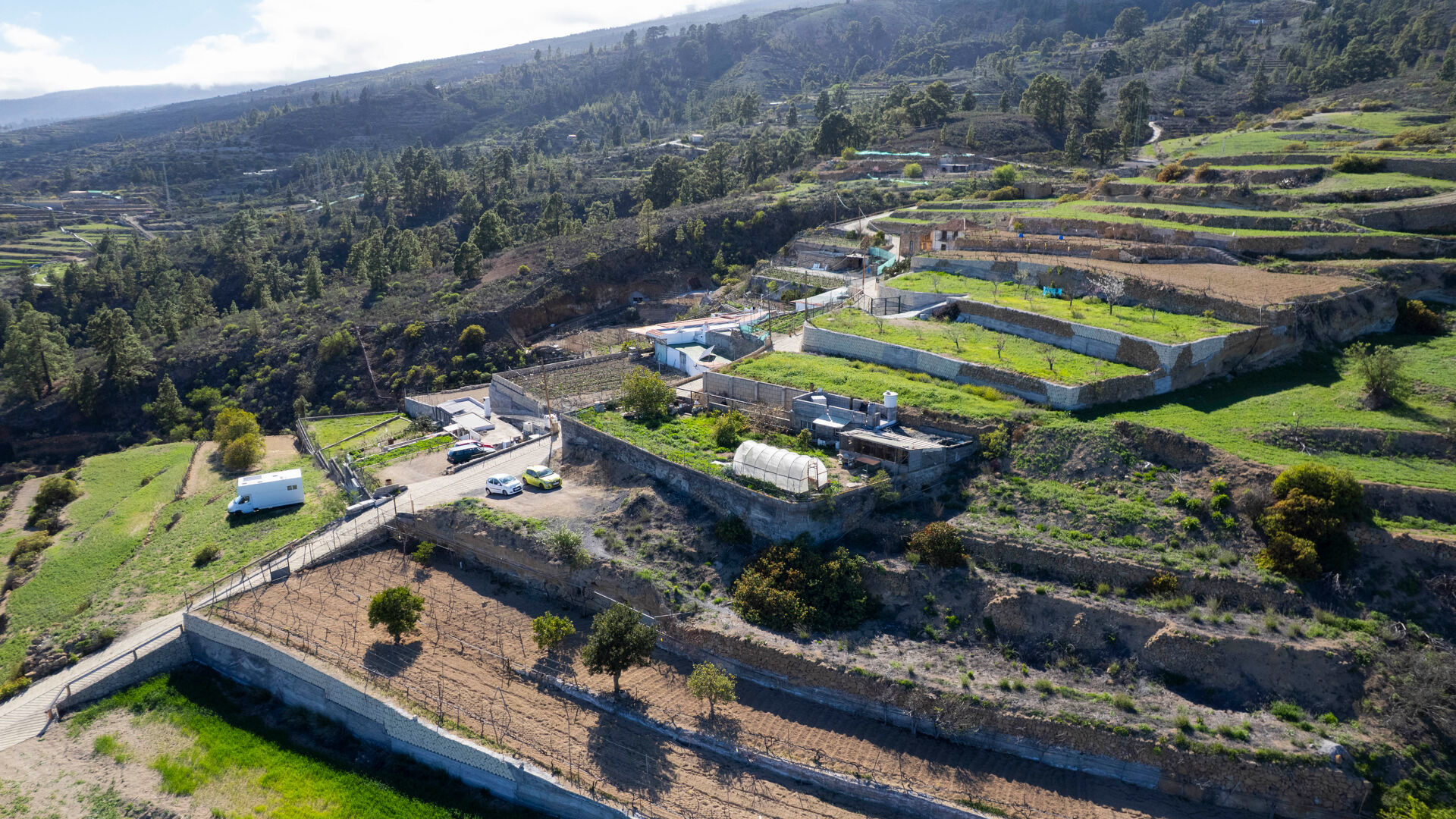 Descubre Tu Paraíso Natural: Finca Rústica en Fasnia con Viñedos y Frutales